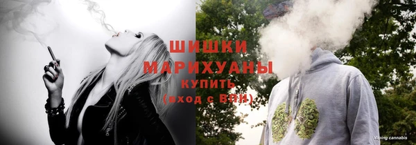 молекула духа Козловка