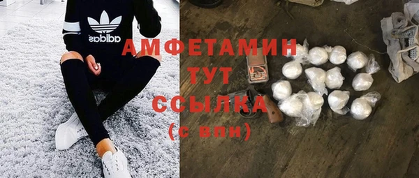 молекула духа Козловка