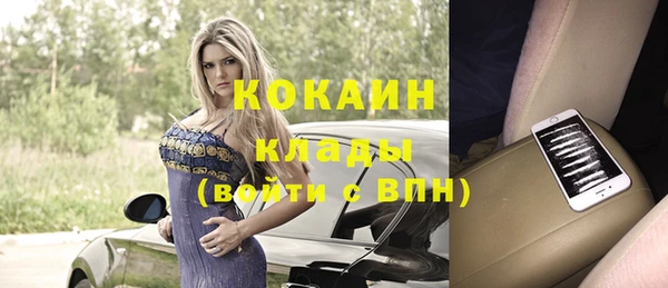 молекула духа Козловка