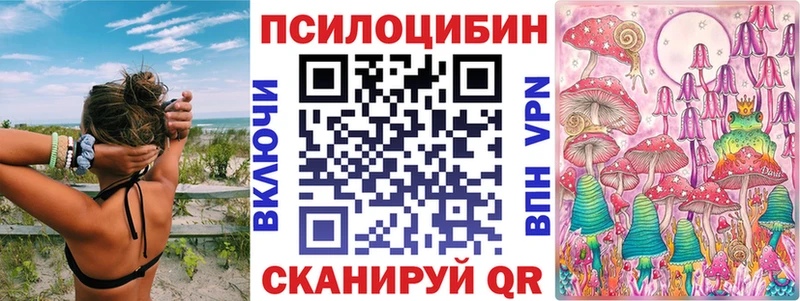Галлюциногенные грибы Psilocybine cubensis  Краснозаводск 