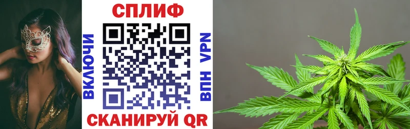 Канабис планчик  где продают   Краснозаводск 